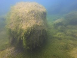 immersioni-estate22 10